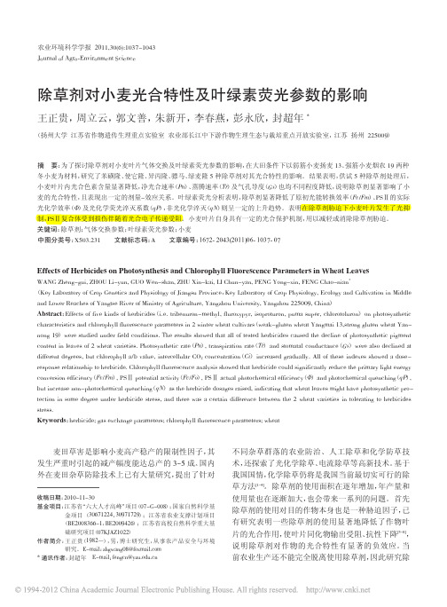 除草剂对小麦光合特性及叶绿素荧光参数的影响