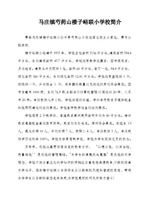 费县马庄镇芍药山楼子学校简介