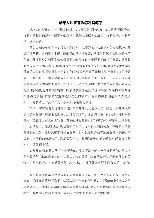 成年人如何有效练习钢笔字