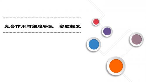 2019届高考生物一轮复习必修一专题课件：光合作用与细胞呼吸实验探究