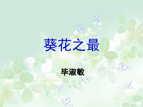 《葵花之最》课件讲课分解