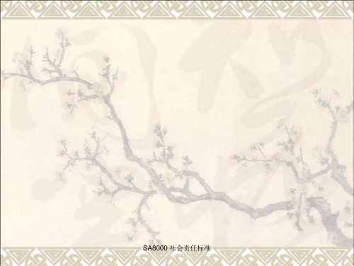SA8000-2008_社会责任管理体系[1]NEW