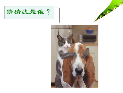 北京师范大学_家庭治疗基本概念