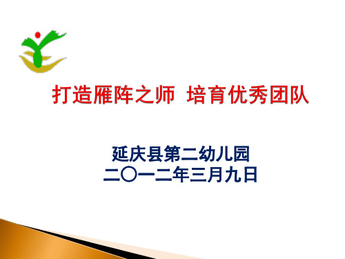 践行雁阵精神 培育优质团队