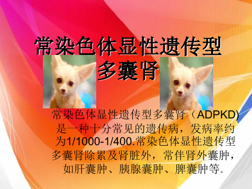 多囊肾