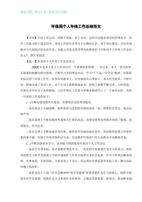 环保局个人年终工作总结范文