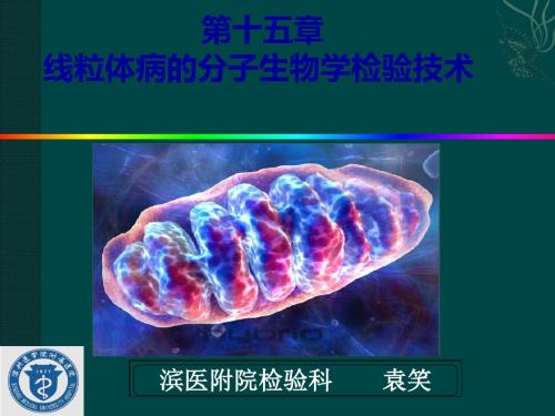 肿瘤的分子生物学检验技术ppt课件