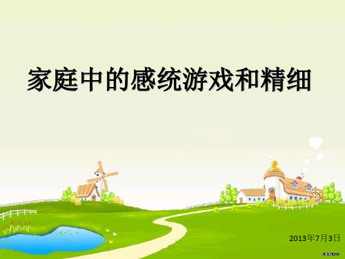家庭中的感统游戏和精细(课堂PPT)