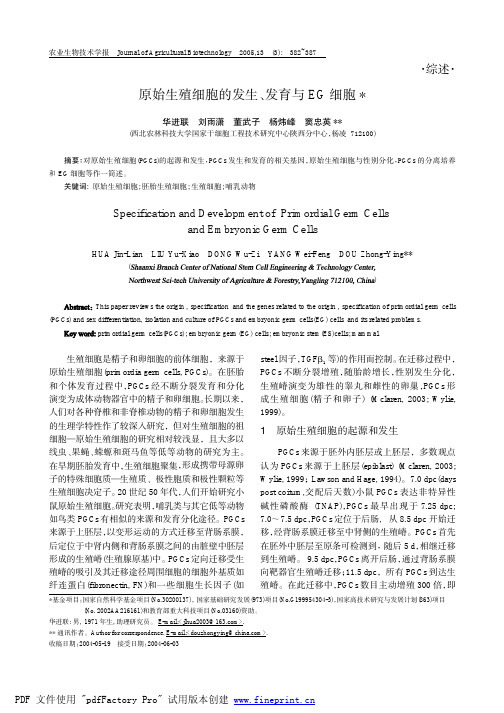 原始生殖细胞的发生、发育与EG细胞