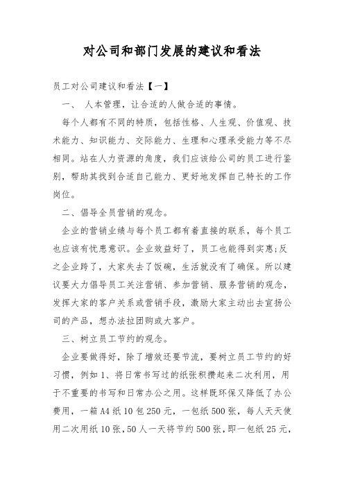 对公司和部门发展的建议和意见