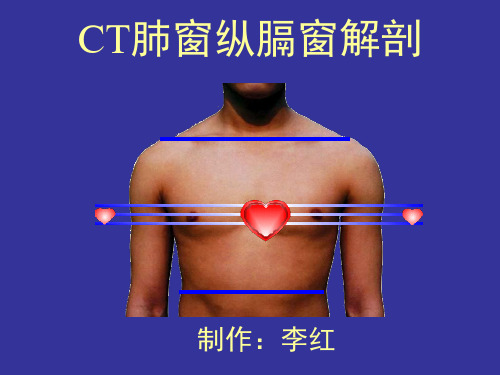 CT肺窗横断层解剖PPT演示幻灯片