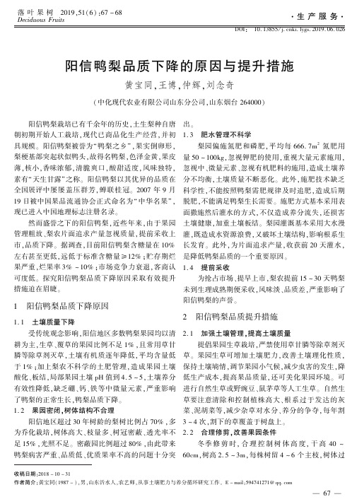 阳信鸭梨品质下降的原因与提升措施