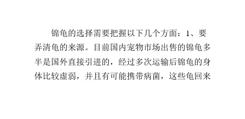 如何挑选锦龟