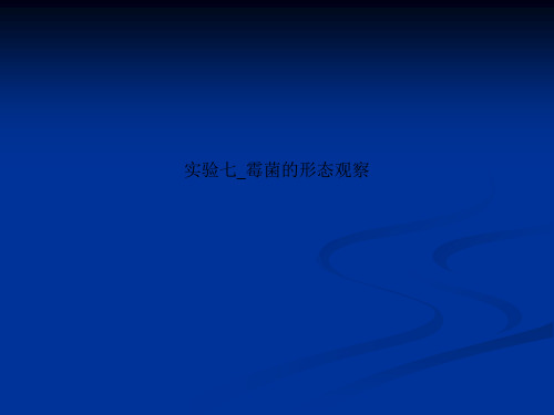 实验七_霉菌的形态观察