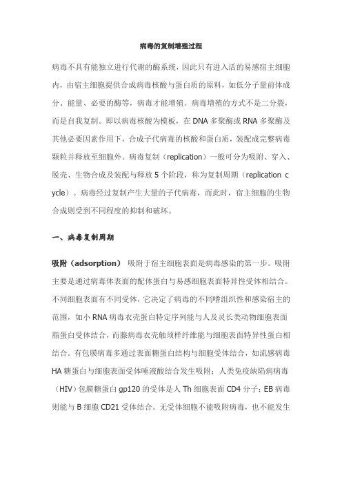 病毒的复制增殖过程