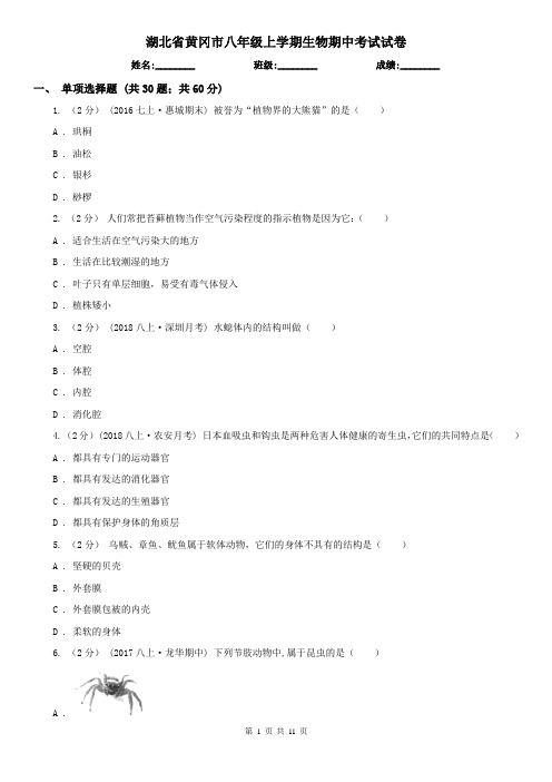 湖北省黄冈市八年级上学期生物期中考试试卷