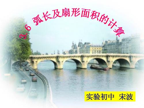 青岛版九年级上册3、6弧长及扇形面积计算