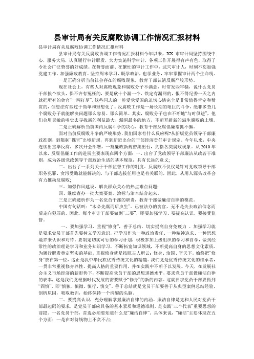 县审计局有关反腐败协调工作情况汇报材料