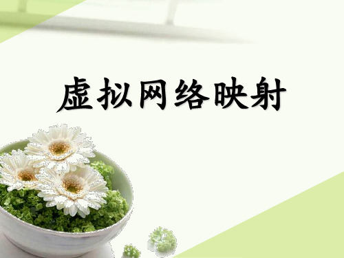 虚拟网络映射课件