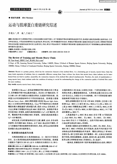 运动与肌球蛋白重链研究综述