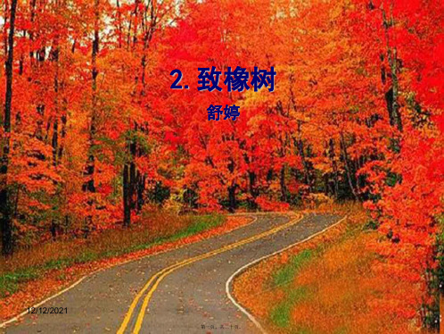 九年级语文上册2致橡树初中九年级上册语文