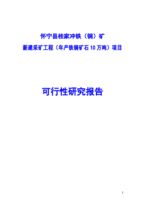 新建采矿工程(年产铁铜矿石10万吨)项目可行性研究报告