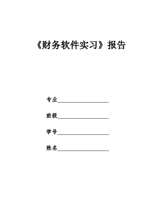 《财务软件实习》报告格式