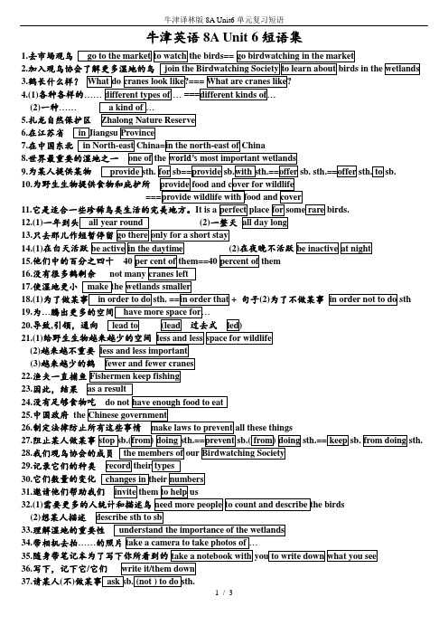 牛津译林版8A Unit6单元复习短语