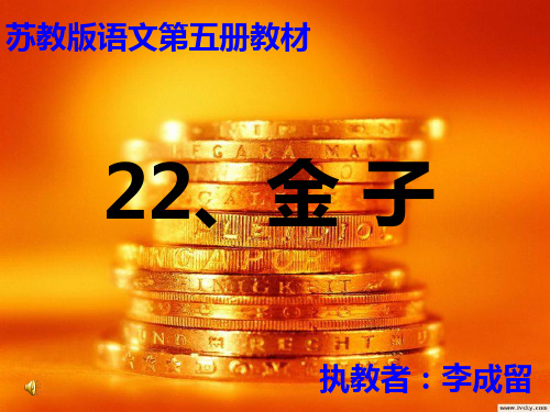 苏教版三年级上册《金子》PPT