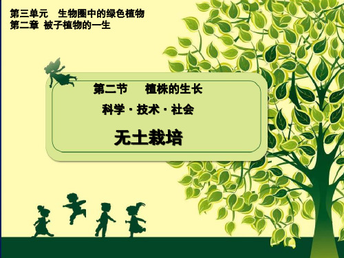 《无土栽培》PPT课件(广 西市级优课)