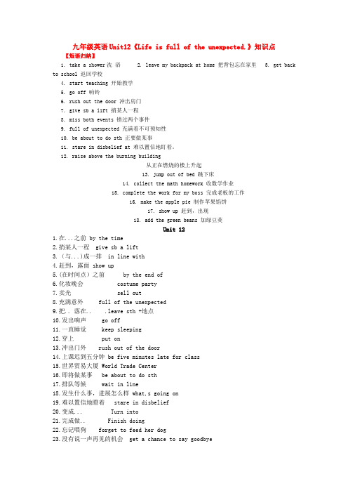 新人教版九年级英语Unit12短语复习归纳