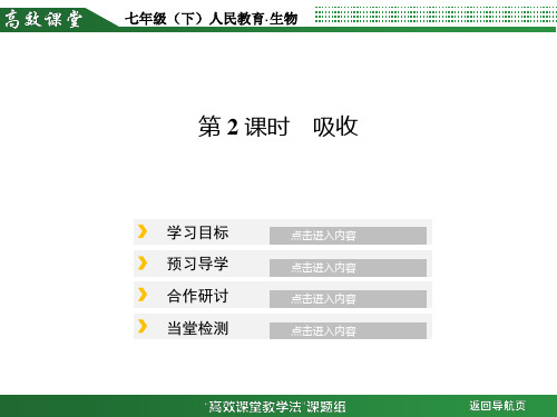 人体营养物质的吸收