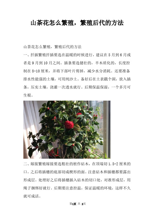 山茶花怎么繁殖，繁殖后代的方法