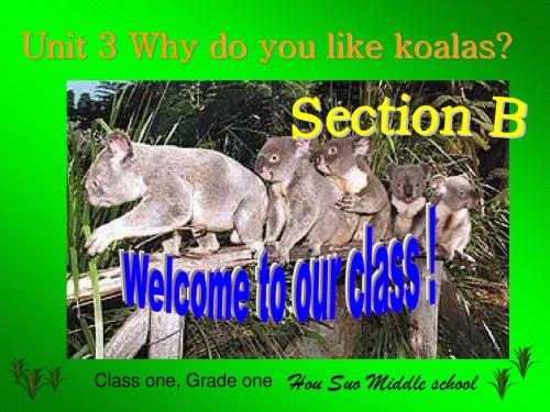 新目标初中英语七年级下册Unit 3 Why do you like koalas_ PPT