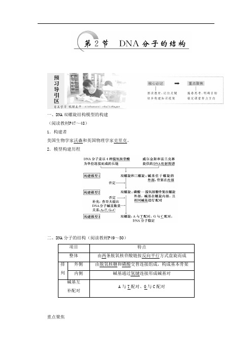 2019-2020学年高一生物人教版必修二教学案：第3章 第2节 DNA分子的结构 Word版含答案