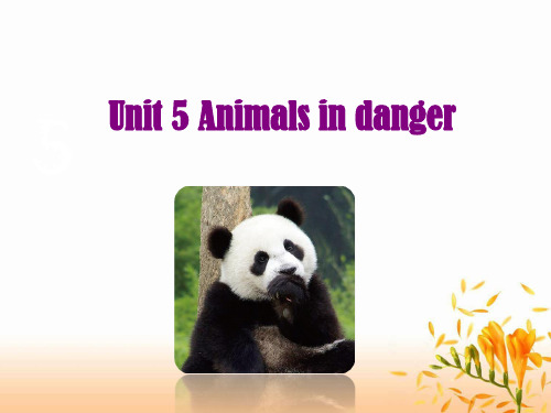 六年级上册英语课件module 2 unit 5 animals in danger 沪教牛津版PPT