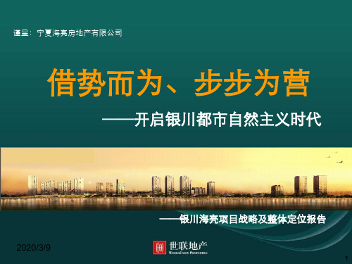 银川海亮项目战略及整体定位报告049307593