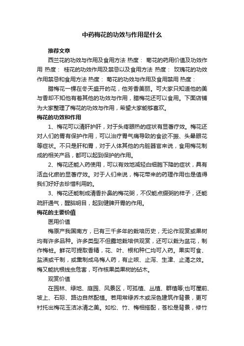 中药梅花的功效与作用是什么