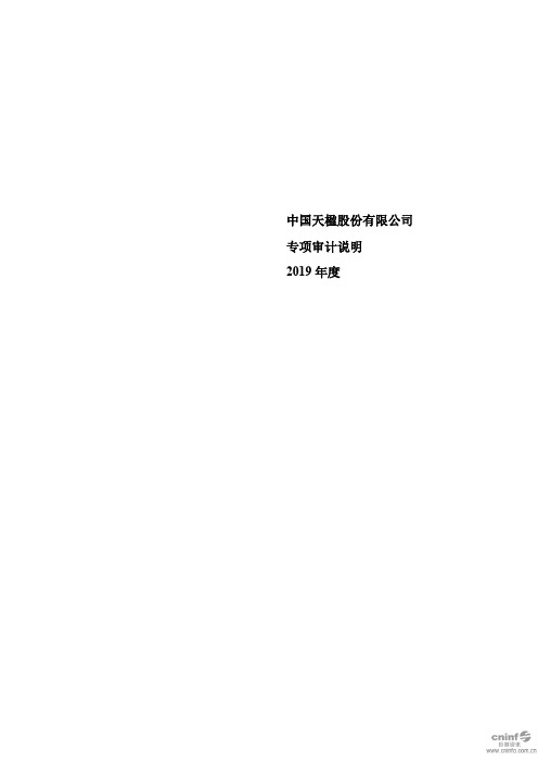 中国天楹：专项审计说明(2019年度)