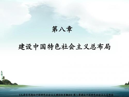 第八章 建设中国特色社会主义总布局最新版