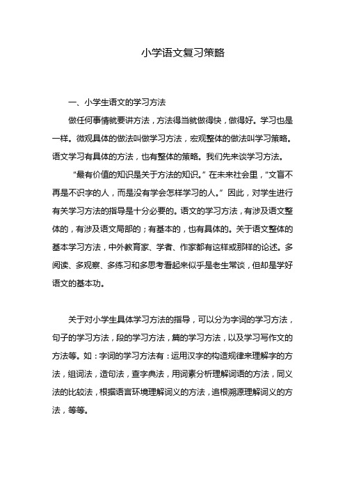 (精编)小学语文复习策略