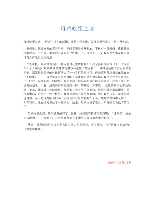 小学作文 母鸡吃蛋之谜-精品