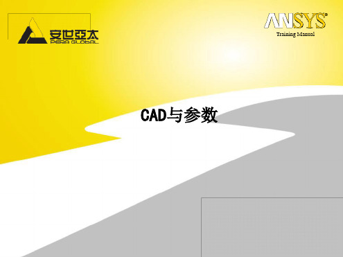 Ansys培训4WB DS08  CAD与参数