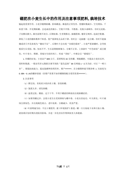 硼肥在小麦生长中的作用及注意事项肥料,栽培技术