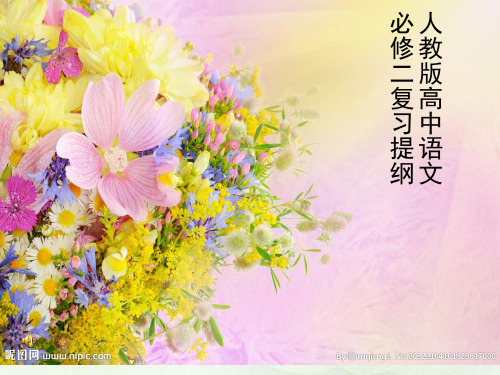 [必修二课件]人教版高中语文必修2复习提纲
