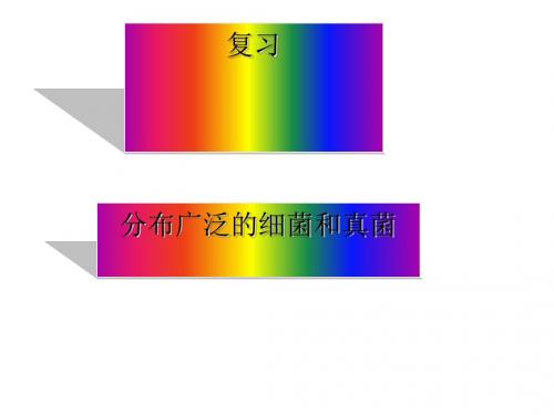 【初中生物】分布广泛的细菌和真菌PPT课件