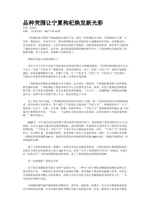 品种突围让宁夏枸杞焕发新光彩