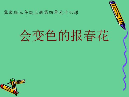 冀教版三年级语文上册《四单元  16 会变色的报春花》公开课课件_23