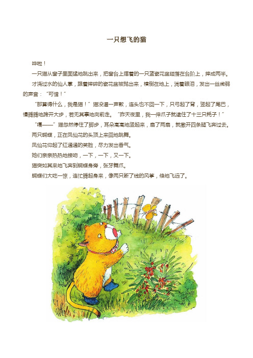 一只想飞的猫