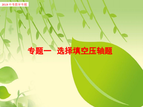 2019年中考数学专题一 选择填空压轴题.ppt